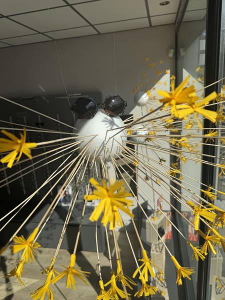 Vitrine d'été Lunetterie la Malgrange